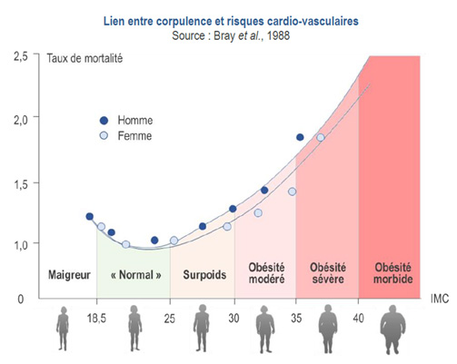 Lien entre corpulence et risque